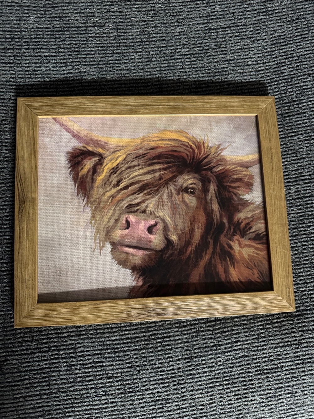 Highland Cow Framed Canvas Wall Art - Brown